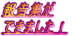 報告集が できました!